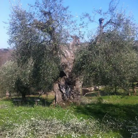 Casa vacanze Podere Speckert Scarlino